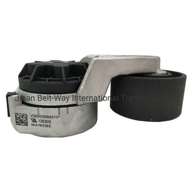 Vg2600060313 Poulie de tension de ceinture de camion pour moteur Sinotruk Weichai