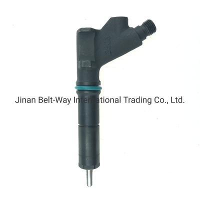 Injecteur de carburant certifié CE pour la partie moteur VG1246080036
