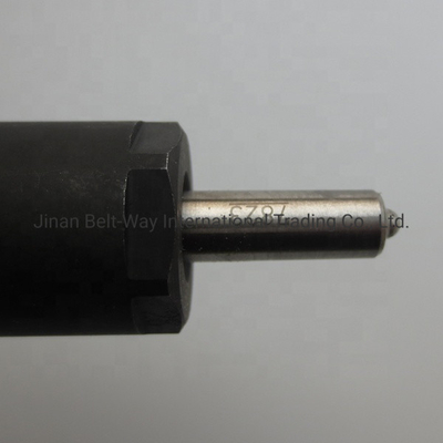 Injecteur de carburant certifié CE pour la partie moteur VG1246080036