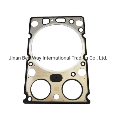 Excellente performance 612600040355 Fuel de moteur Weichai