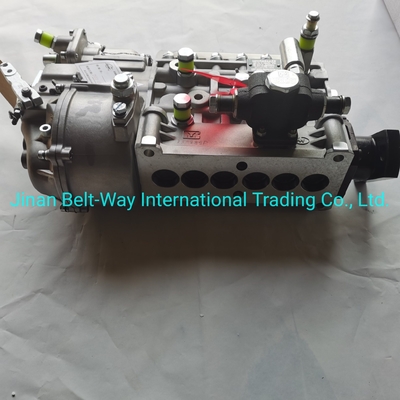 Sinotruk HOWO Truck Parts Fuel Injection Pump Vg1560080021 avec soutien au paiement en USD