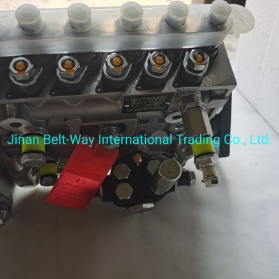 Sinotruk HOWO Truck Parts Fuel Injection Pump Vg1560080021 avec soutien au paiement en USD