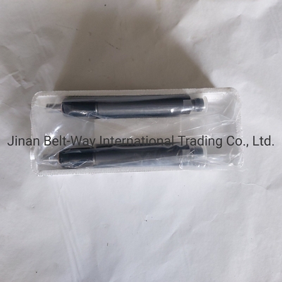 Sinotruk HOWO Truck Parts Fuel Injector Vg1560080276 pour le système de conduite de l'essieu avant