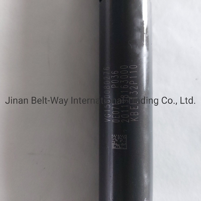 Sinotruk HOWO Truck Parts Fuel Injector Vg1560080276 pour le système de conduite de l'essieu avant