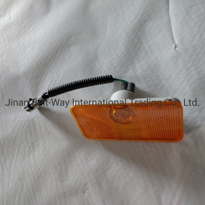 Sinotruk HOWO Parties de camions Lampe de marquage latéral Wg9100720012/2 Excellente fonctionnalité