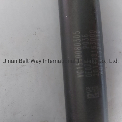 Injecteur de carburant Vg1560080305 Contact pour le coût d'expédition pour acheter des pièces de camion Sinotruk HOWO