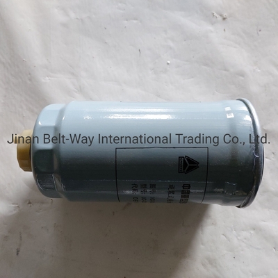 Sinotruk HOWO Pièces détachées pour camions Pièces détachées pour camions Filtres à carburant Vg14080740A de couleur noire