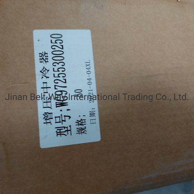 Sinotruk HOWO Pièces détachées pour camions Intercoolant surchargé Wg97255300250 Wg9725530020