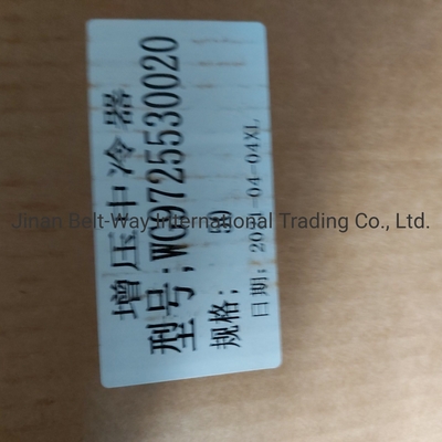 Sinotruk HOWO Pièces détachées pour camions Intercoolant surchargé Wg97255300250 Wg9725530020