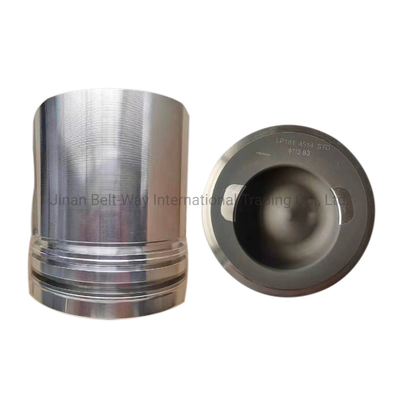Parties moteur de moteur diesel Cummins 6CTA 3919565 Piston pour le transport maritime/aérien/courier