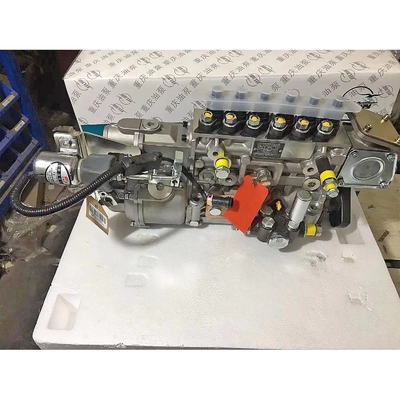 Pompes d'injection de carburant diesel pour moteur à particules Cnhtc pour Wd615.68c02n