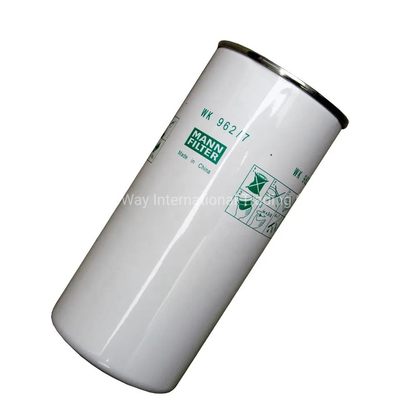 Filtre à carburant pour moteur diesel Vg1560080012 avec batterie
